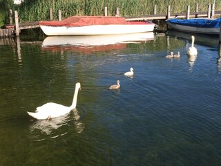 Vakantieappartement Breitbrunn Omgeving 23