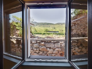 Apartment Dambach-la-Ville Außenaufnahme 6