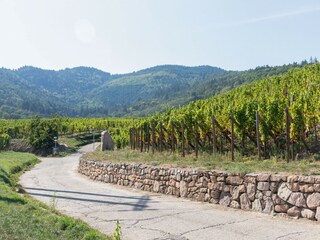 Appartamento Dambach-la-Ville Ambiente 29