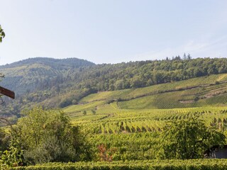 Appartamento Dambach-la-Ville Ambiente 31