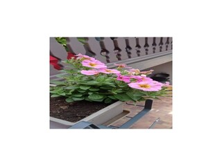 Appartement Dambach-la-Ville Buitenaudio-opname 8