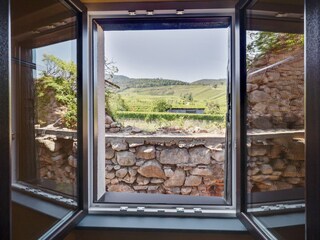 Apartamento Dambach-la-Ville Grabación al aire libre 10