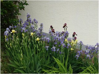 Vakantiehuis Krimml Buitenaudio-opname 6