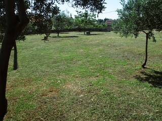 riesengroßer Garten 1000 qm
