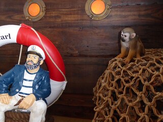 Vakantieappartement Julianadorp Kenmerken 20