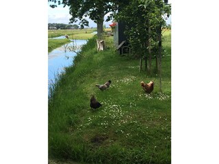 Casa per le vacanze Schagerbrug Registrazione all'aperto 8