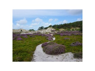 Holiday house Schagerbrug Environment 31