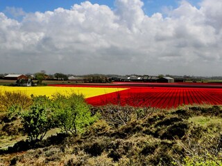 Vakantiehuis Schagerbrug Omgeving 29