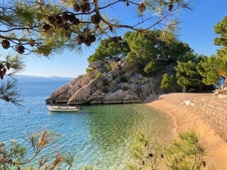 Casa per le vacanze Krivodol (Podbablje) Ambiente 43