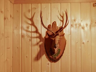 Appartamento St. Lambrecht  40