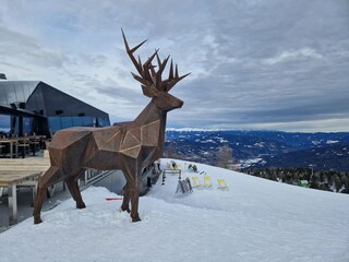 Appartamento St. Lambrecht  38