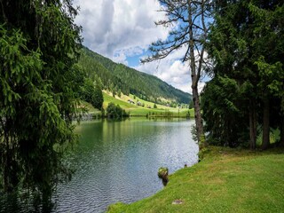 Apartamento St. Lambrecht Entorno 32