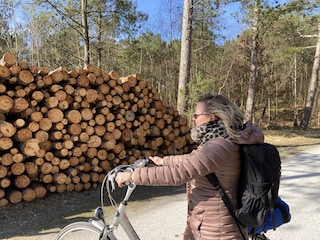 Fietsen door het bos en de duinen naar strand