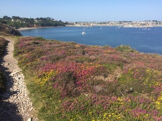 Vakantiehuis Camaret-sur-Mer Buitenaudio-opname 6