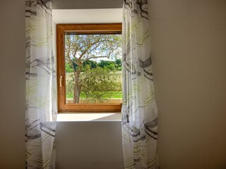 Villa Vodnjan Caratteristiche 24