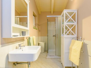 Villa Svetvinčenat Características 28