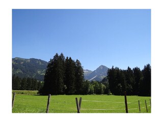 Alpengipfeln, blühenden Bergwiesen u. schattigen Wälder