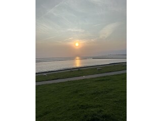 Schafe am Deich in der Meldorfer Bucht