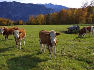 Holiday apartment Kiefersfelden Outdoor Recording 31