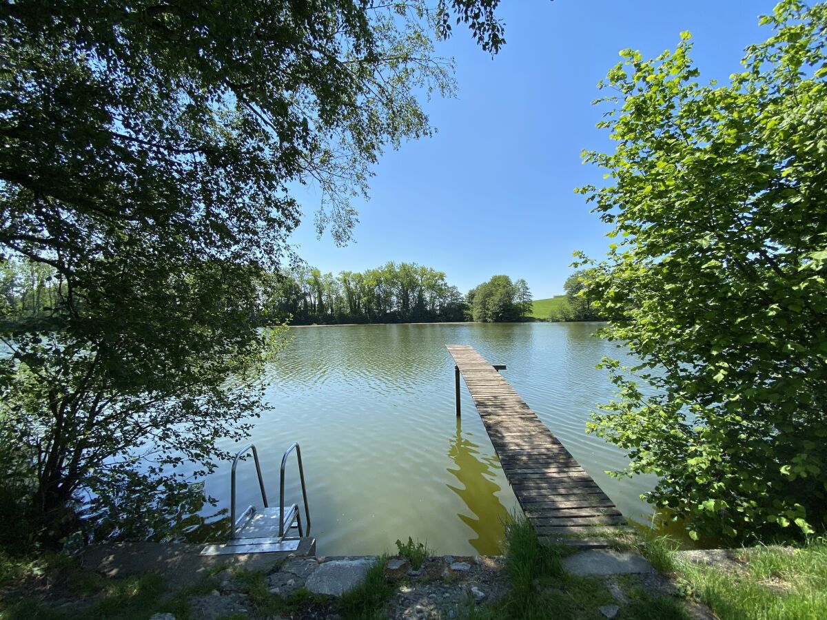 apartment iglucamping panorama tiny house am see wangen im allgau firma iglucamping allgau bodensee gmbh herr michael schittenhelm