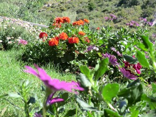 Vakantieappartement Seccheto  33