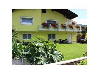 Gartengemüse zur freien entnahme für Sie...