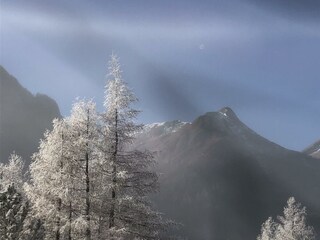 1636C337-0DD5-4AC9-A073-FFCCA2446CA2