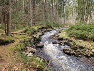 Schwarzwassertal