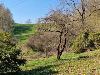 Frühling in Börnichen