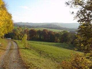 Vakantieappartement Börnichen Omgeving 29