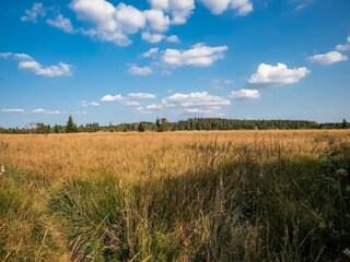 Vakantiehuisje Waimes Omgeving 27