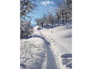 Perfekte Winterlandschaft