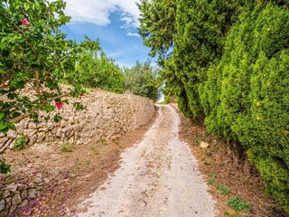 Ferienhaus Callosa d'en Sarrià Außenaufnahme 19