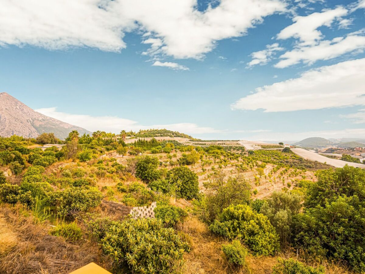 Ferienhaus Callosa d'en Sarrià Außenaufnahme 12