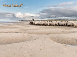 Casa per le vacanze Nieuwvliet Ambiente 27