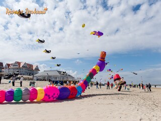 Casa per le vacanze Nieuwvliet Ambiente 29