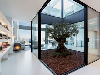 Villa Búger Kenmerken 17