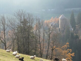 Herbst-Spaziergang