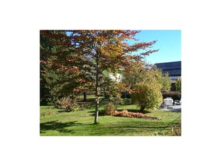 Garten im Herbst