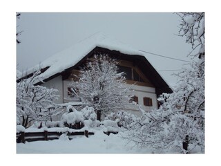 im Winter