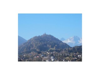 unsere Kühe