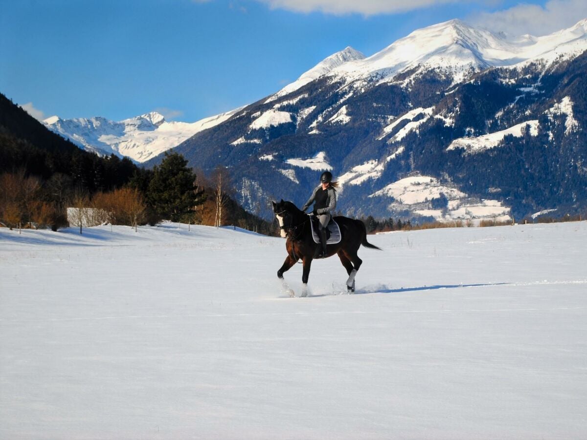 Winterreiten Landgut Moserhof