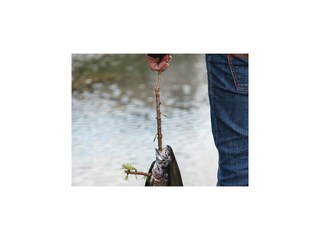 Appartamento Penk Registrazione all'aperto 24