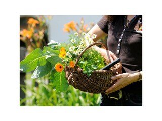 Appartamento Penk Registrazione all'aperto 31