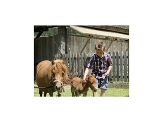 Appartamento Penk Registrazione all'aperto 6