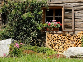 Appartamento Penk Caratteristiche 60