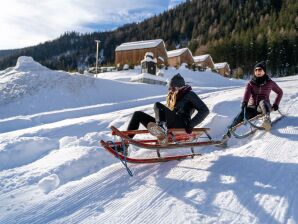 Apartment Chalet Ankogel - Mallnitz - image1