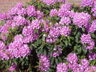 Appartement de vacances Cochem Enregistrement extérieur 18