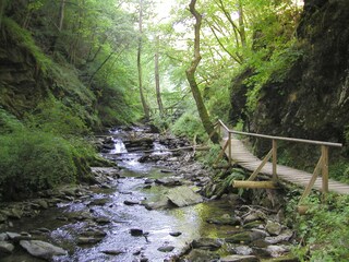 Hiking trip