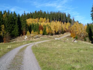 Wanderung zum Hans-Kehr-Stein